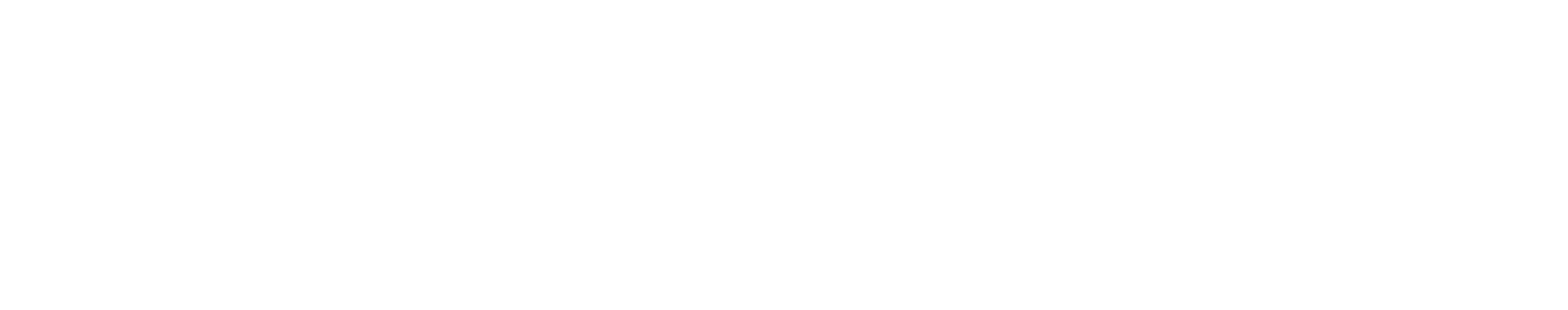 Red Fox Consulting